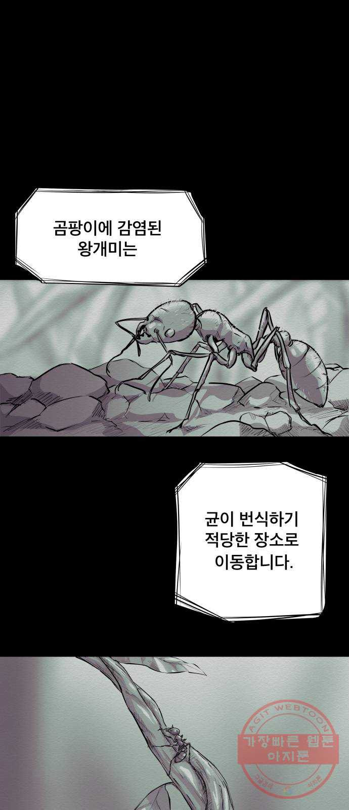 1634716968209sjzmt687bh.jpeg