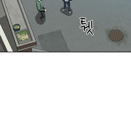 1636059417595acppe9dc5lp.jpeg