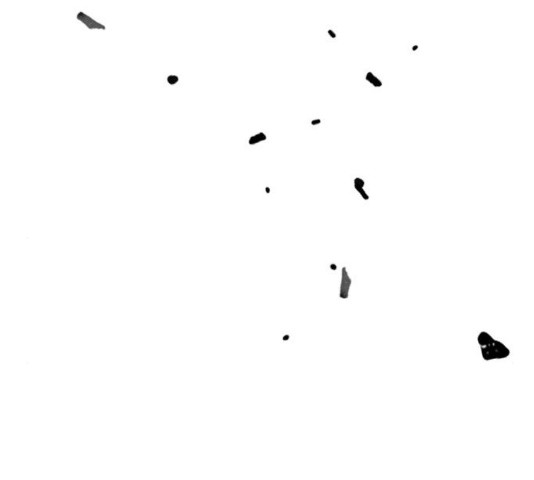 1636059454196qhbk9ogjzol.jpeg