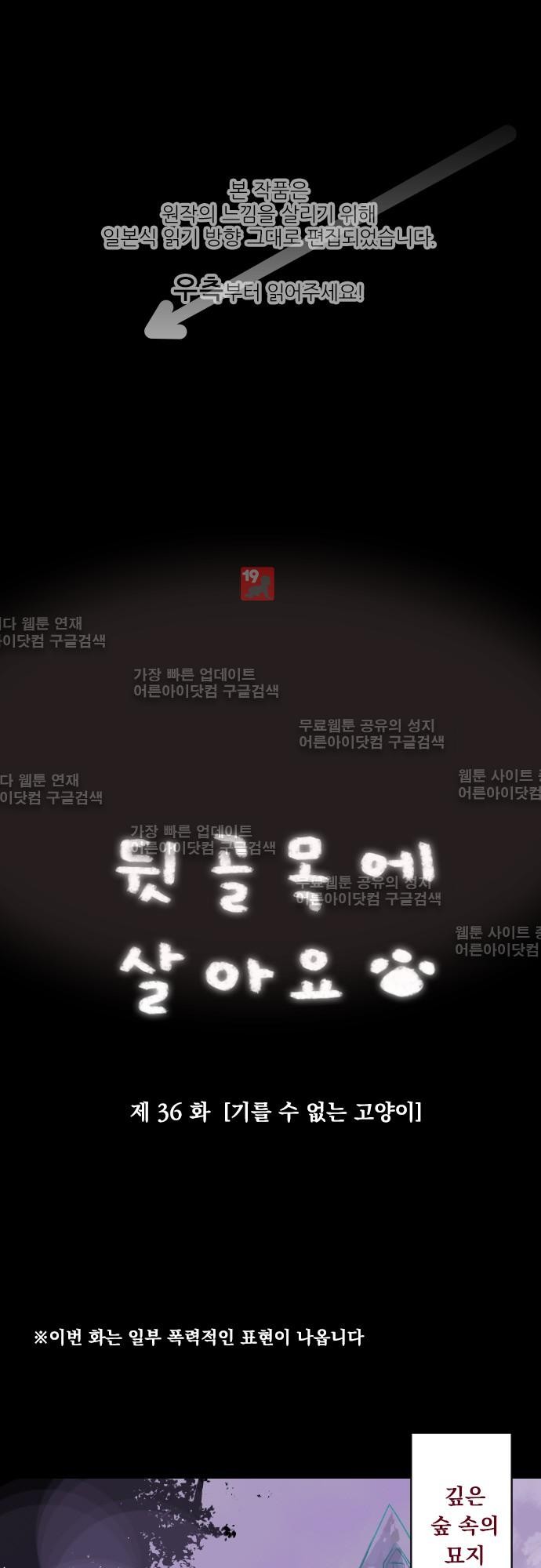 16402301004764g5scwsdyni.jpg