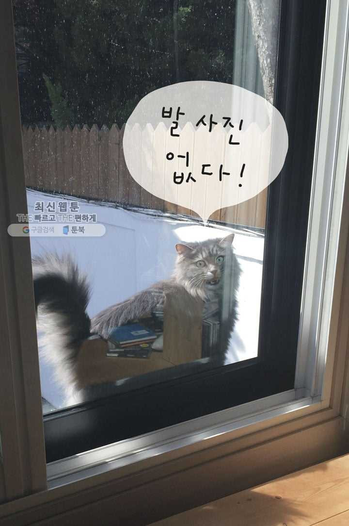 1626406060458.jpeg