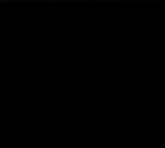 1631581237772hzojo1ndnd6.jpeg