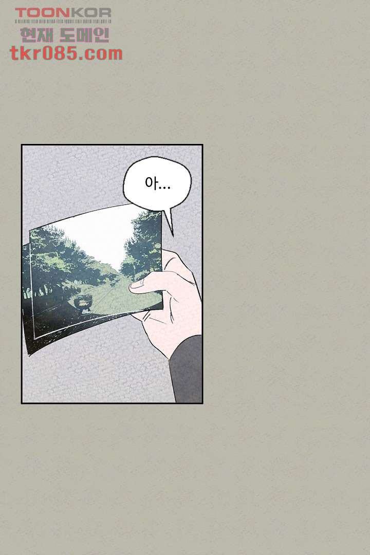 164626912006840w56drouzl.jpeg