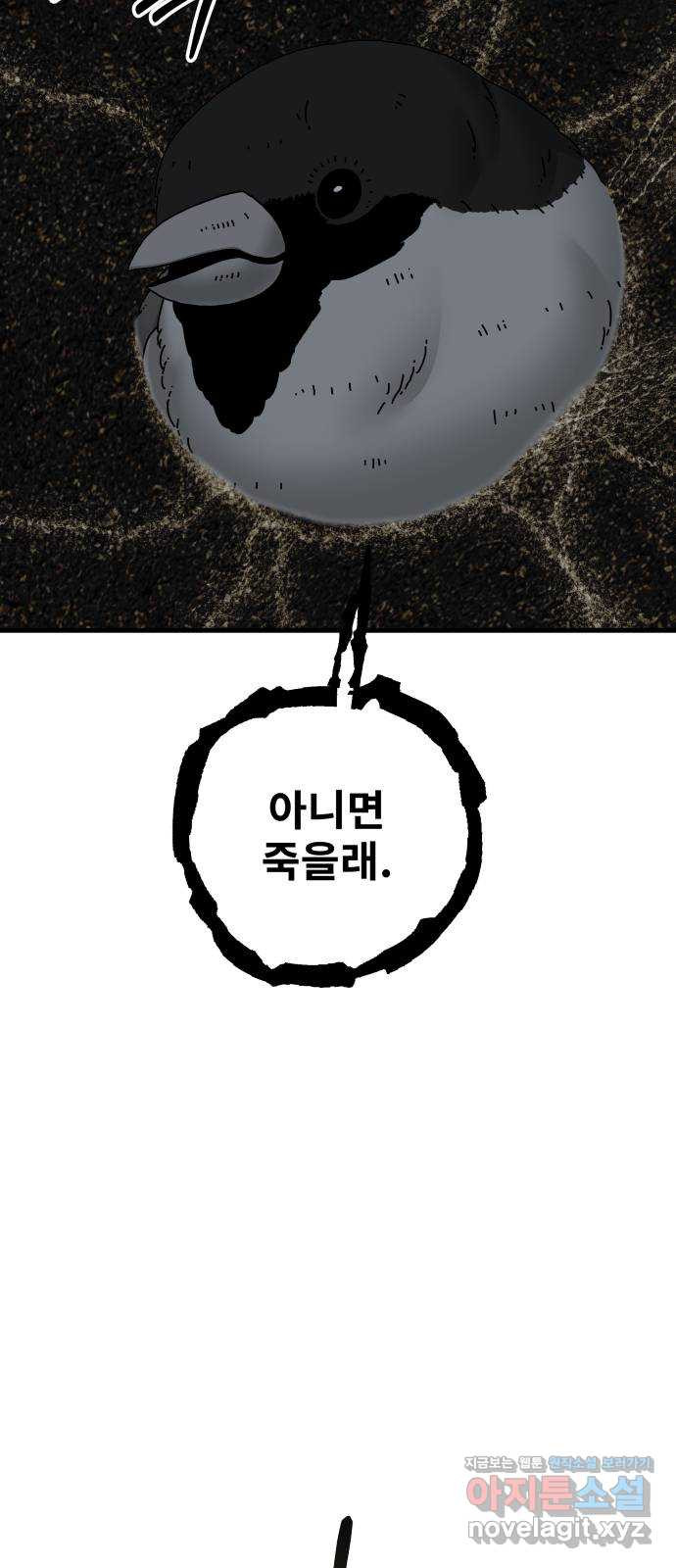 16503408983212p8lisr22lv.jpeg