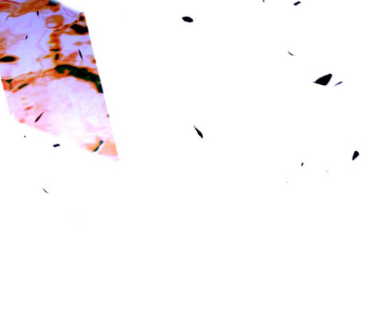 1657906946304jvtr5wije7m.jpeg