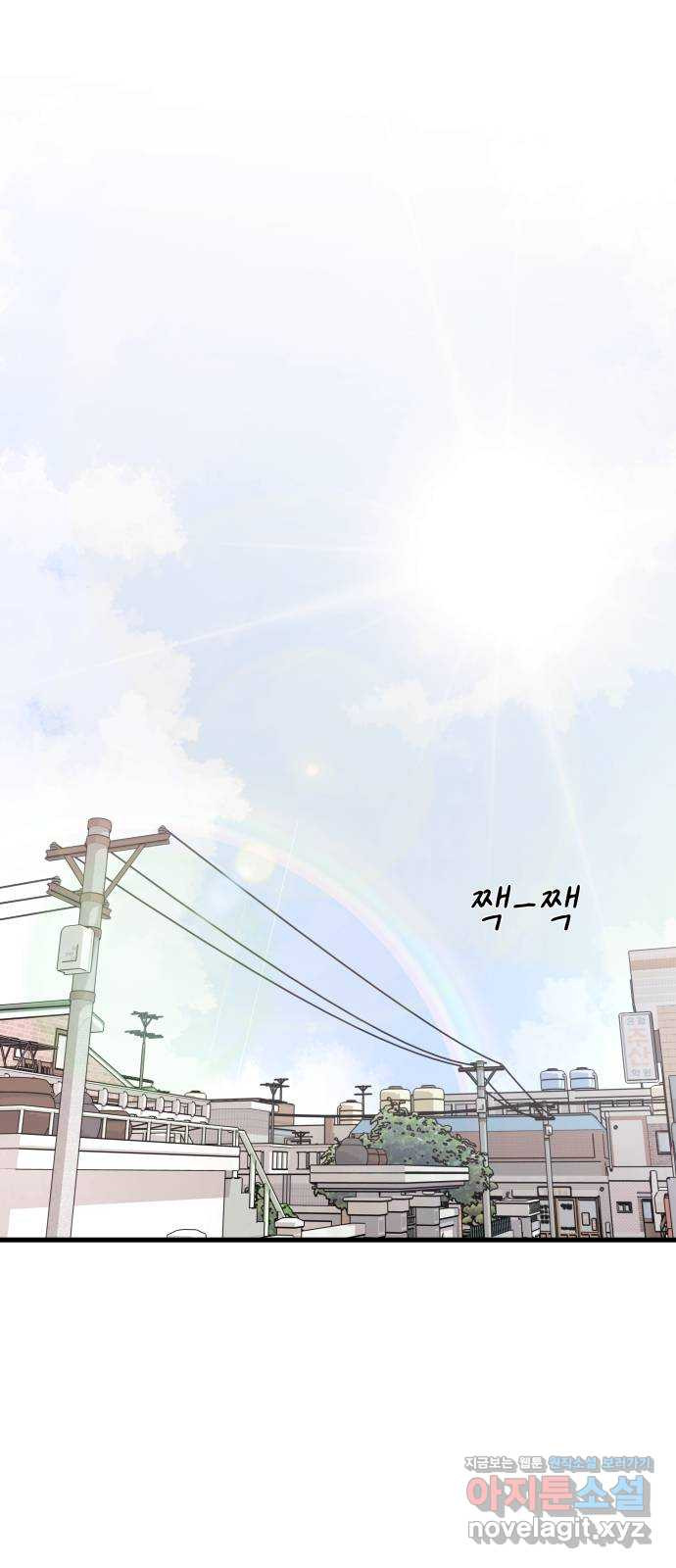 1659819205118we6rp8ibllh.jpeg