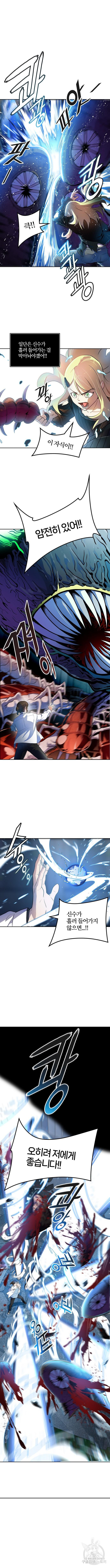 1678655749266wgd47bpfvw.jpeg