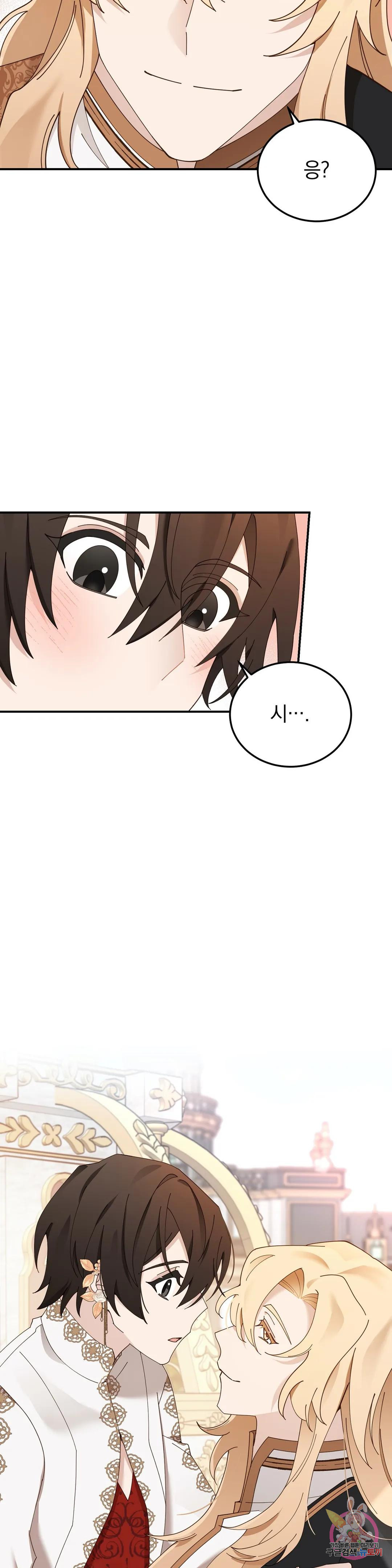 1681003596170xd6j2st546.jpeg