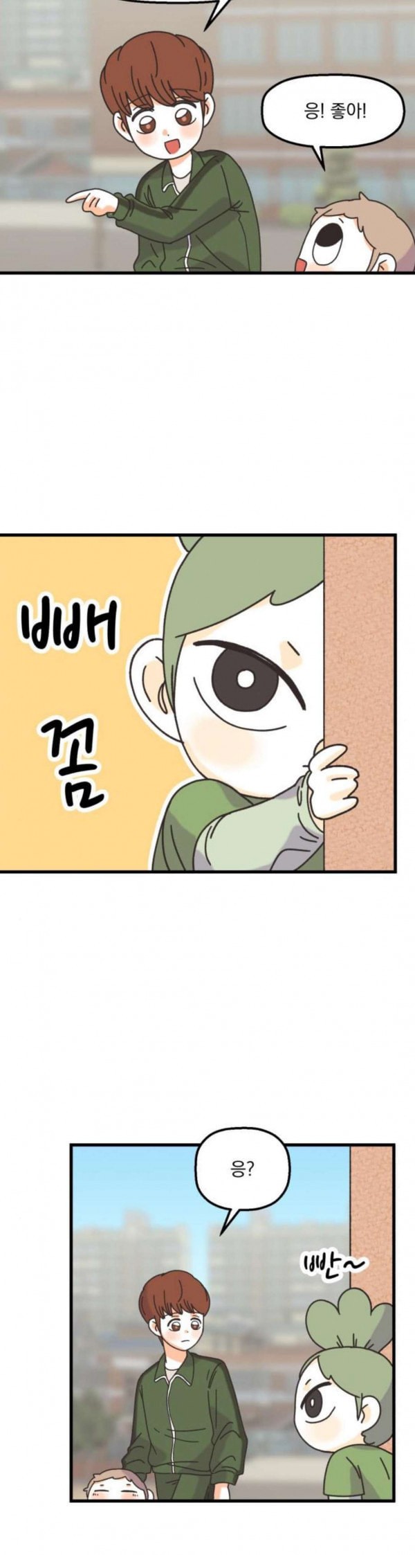 15797955891697.jpeg